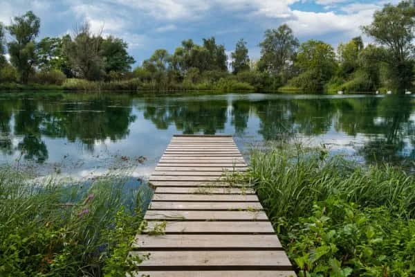 Digital Detox in Sachsen-Anhalt