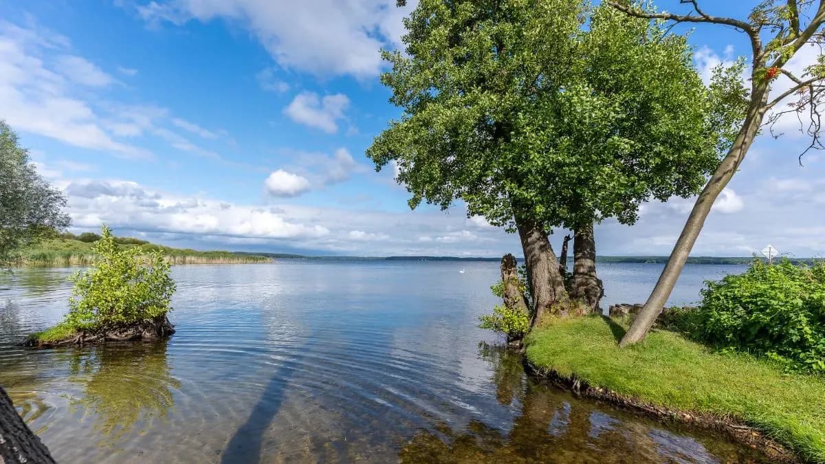 Digital Detox in Mecklenburg-Vorpommern