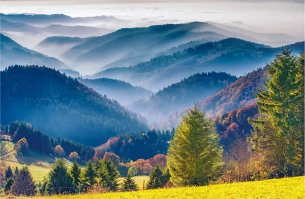 Digital Detox im Schwarzwald